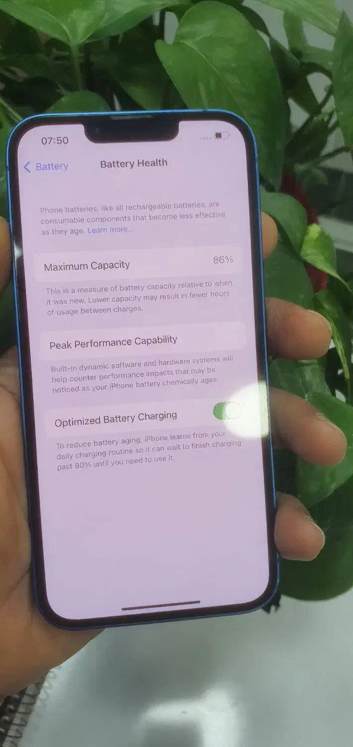 آیفون 13 نرمال|موبایل|برازجان, |دیوار