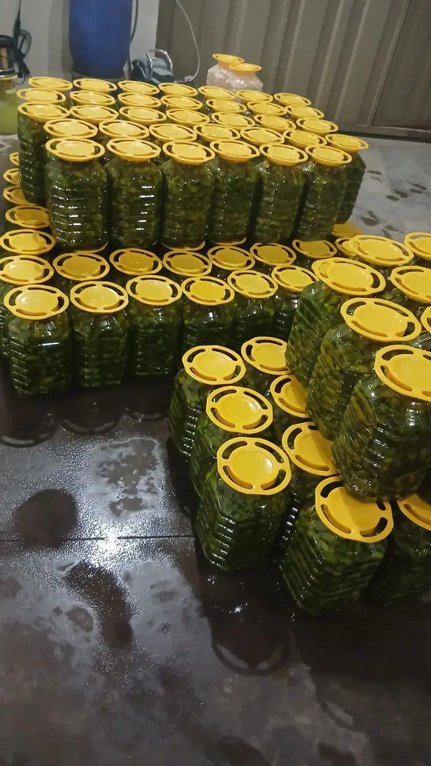 ترشی بیور|عمدهفروشی|لالجین, |دیوار