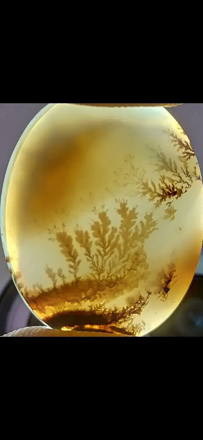 سنگ ، سنگ شجر|جواهرات|شیراز, دلگشا|دیوار