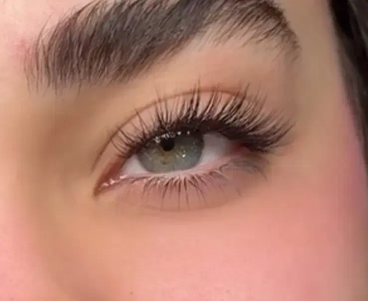 اکستنشن مژه ، لیفت وکاشت مژه ۵۰/. تخفیف تاشب یلدا|خدمات آرایشگری و زیبایی|اسلام‌شهر, شهرک محمدیه|دیوار