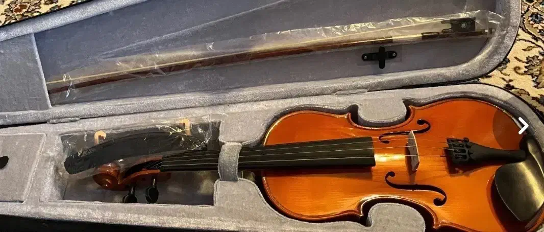 فروش فوری ویالون کاملا نو|ویولن|کرج, اصفهانیها|دیوار