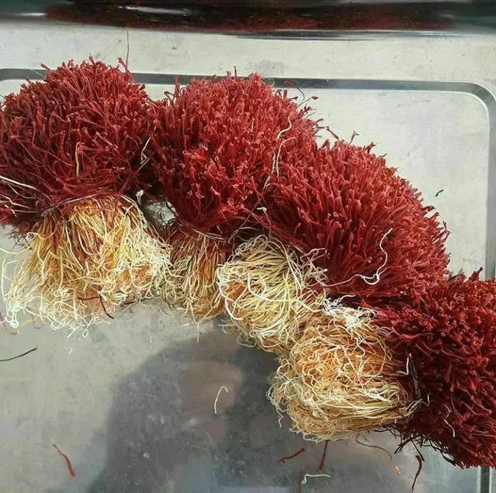 انواع زعفران اصل قائنات و خشبار|خوردنی و آشامیدنی|تهران, زعفرانیه|دیوار