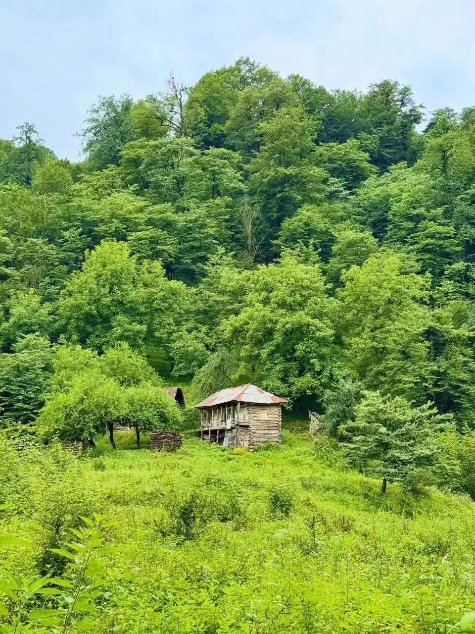 844 41 41 912|سیم‌کارت|تهران, گلستان (شهرک راه آهن)|دیوار