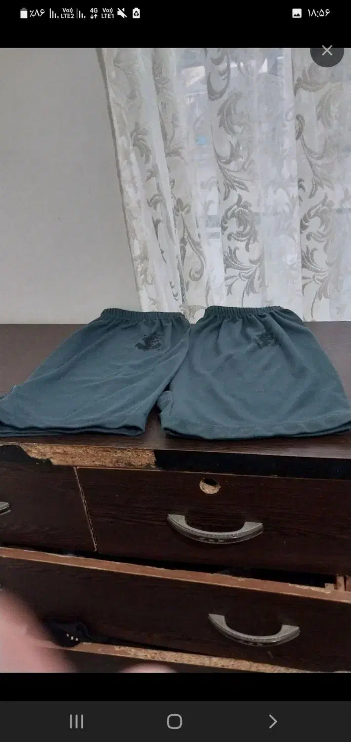 دو عدد شورت مردانه|لباس|رشت, کاکتوس|دیوار