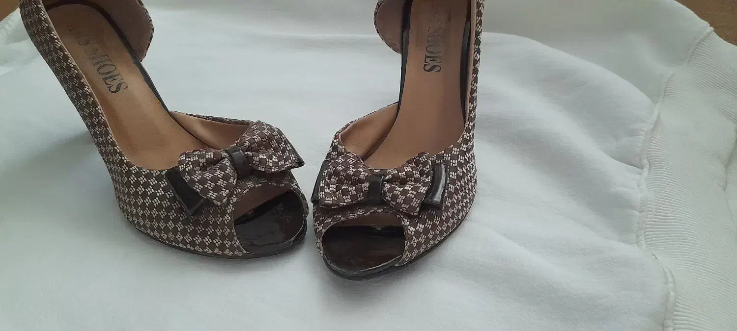 کفش مجلسی زنانه|کیف، کفش، کمربند|شیراز, دانشگاه شیراز|دیوار