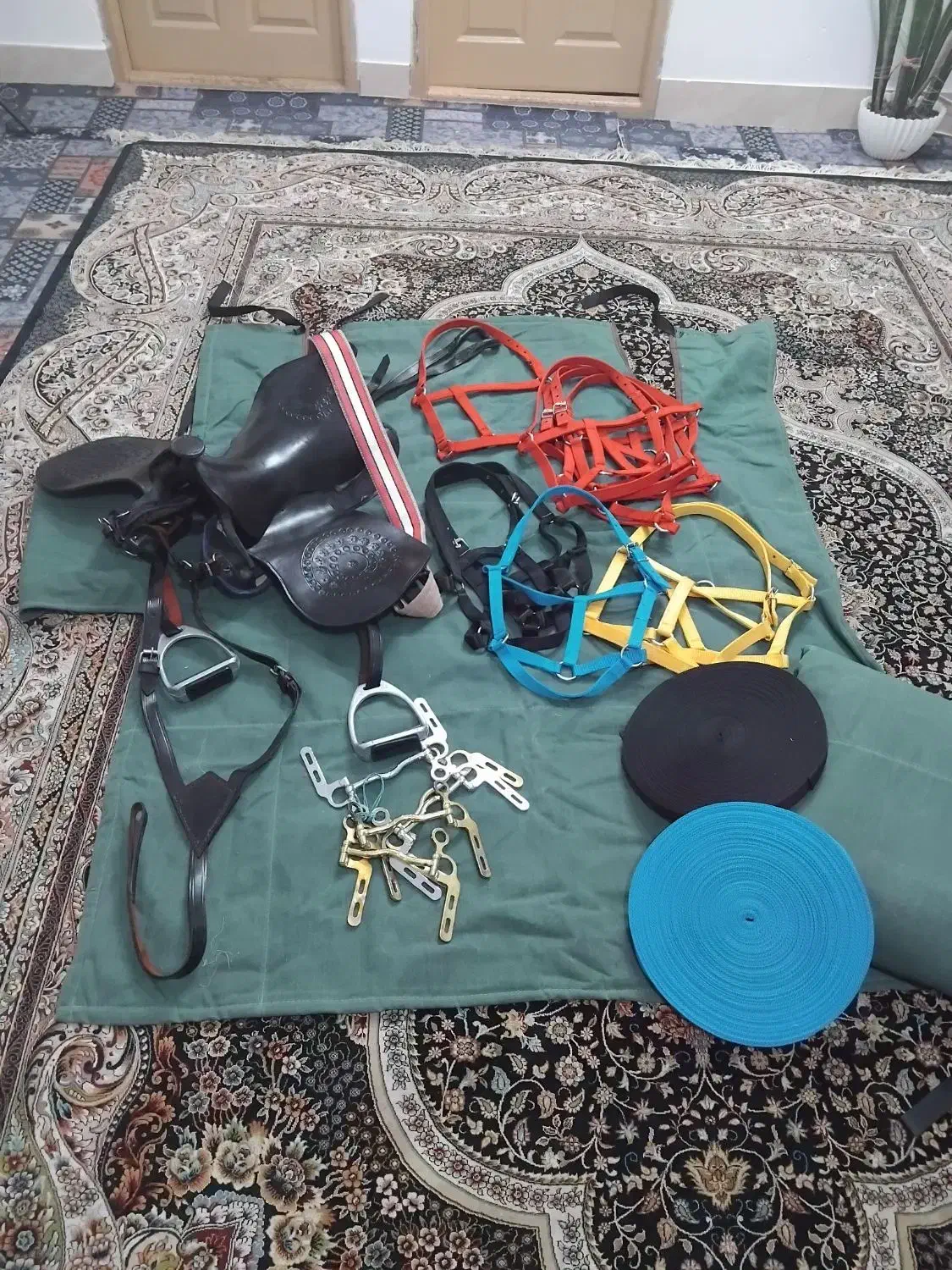 لوازم سوارکاری|اسب و تجهیزات اسب‌سواری|گرگان, |دیوار