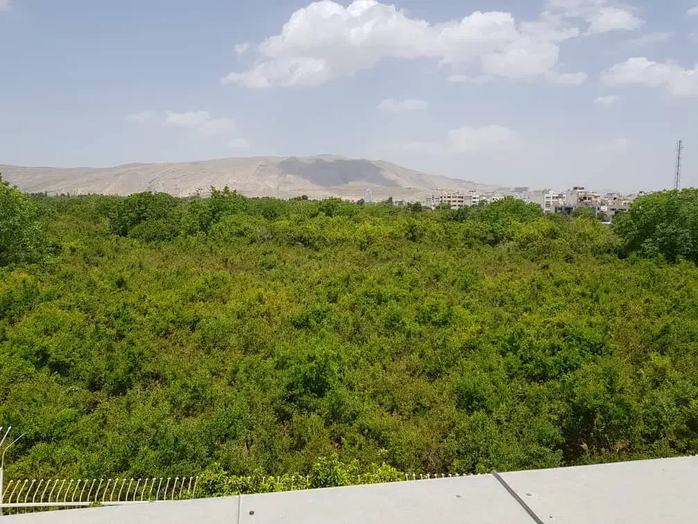 باغ 1500متری* بهزیستی،کمپ،سالمندان*|اجارهٔ خانه و ویلا|شیراز, دکتر حسابی|دیوار