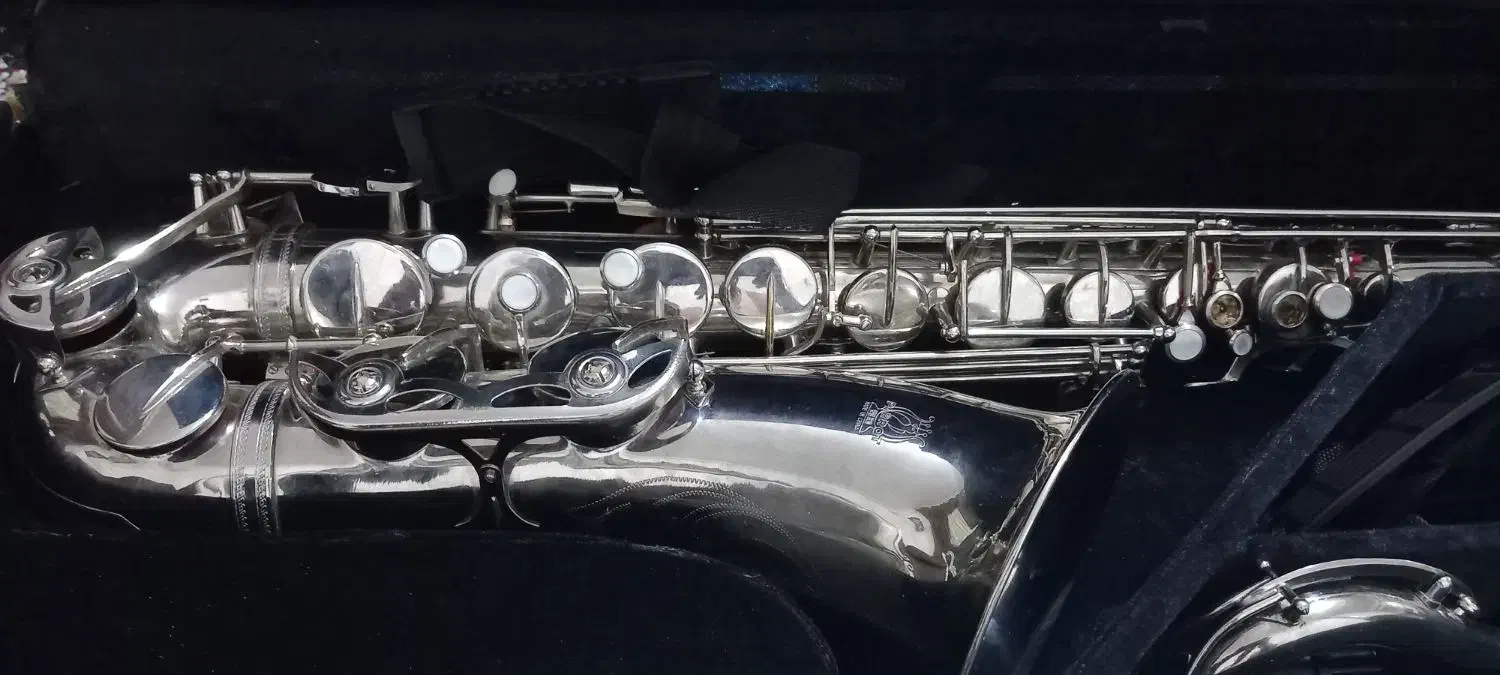 ساز ساکسیفون|سازهای بادی|کرمان, |دیوار