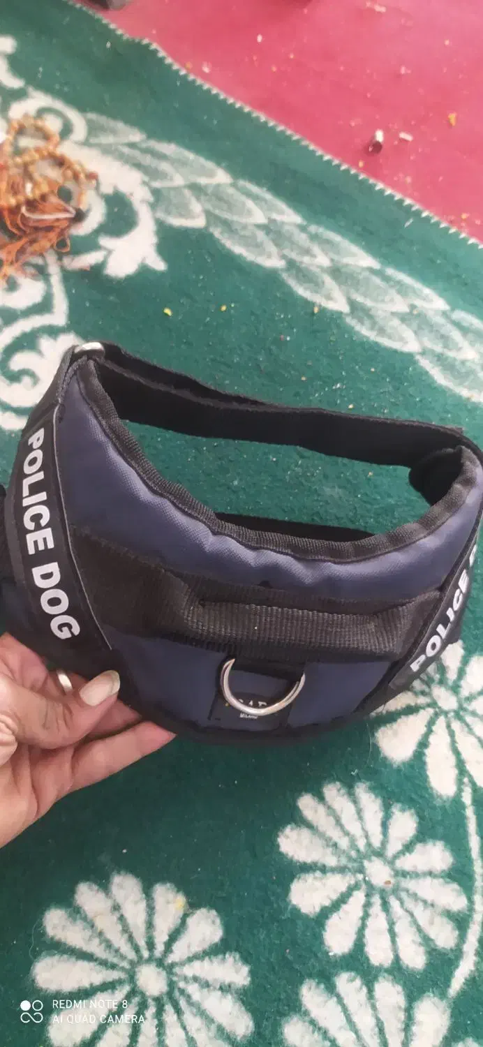 قلاده سگ ژرمن|لوازم جانبی حیوانات|مشهد, رده|دیوار