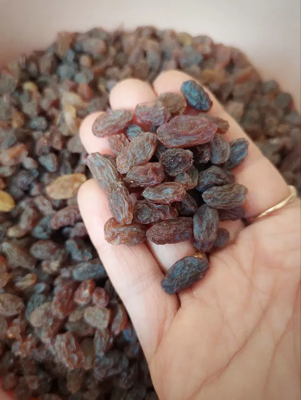 سرکه انگور ، کشمش آفتابی بیدانه،سایه خشک امساله|خوردنی و آشامیدنی|محمدیه-قزوین, |دیوار