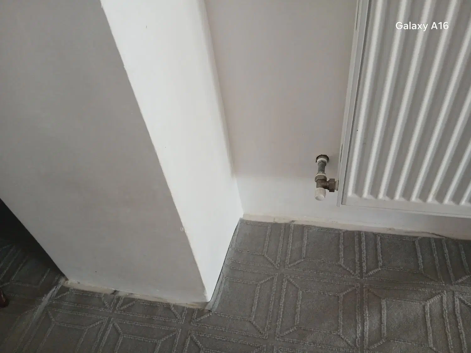 موکت|موکت|خرم‌آباد, |دیوار