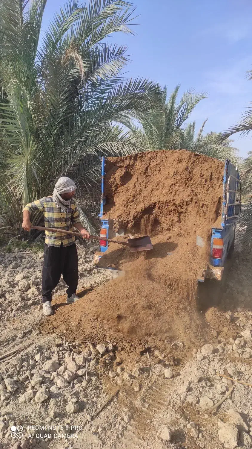 کود حیوانی نیسانی تحویل محل آبپخش|خدمات باغبانی و درختکاری|آبپخش, |دیوار