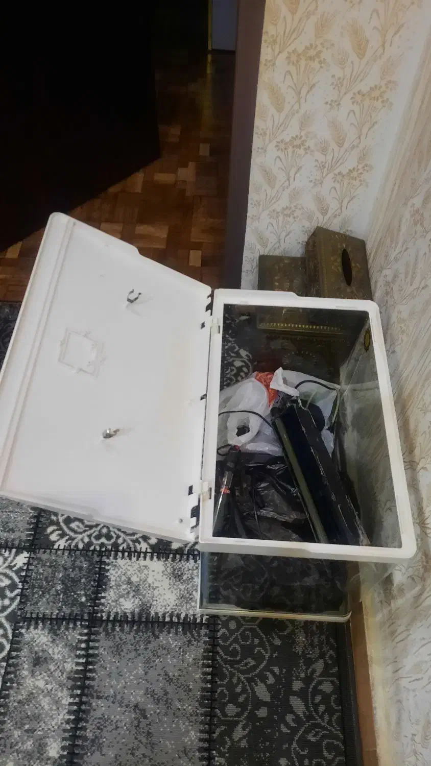 اکواریوم  شرکتی با تمامی تجهیزات|ماهی|رشت, فلسطین|دیوار