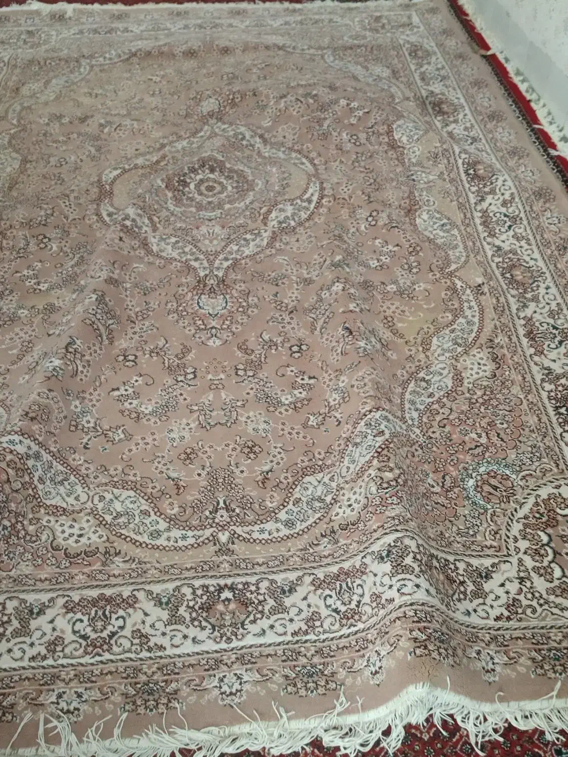 قالی  ۲*۳|فرش|بانه, |دیوار