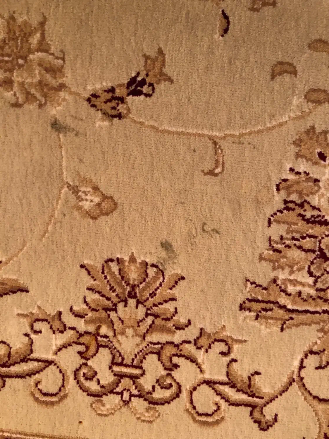 فرش ۶ متری|فرش|قائم‌شهر, |دیوار