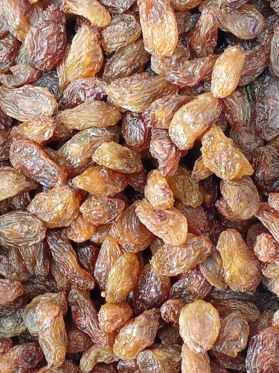 کشمش آفتابی با کیفیت|خوردنی و آشامیدنی|نیشابور, شهرک فیروزه|دیوار