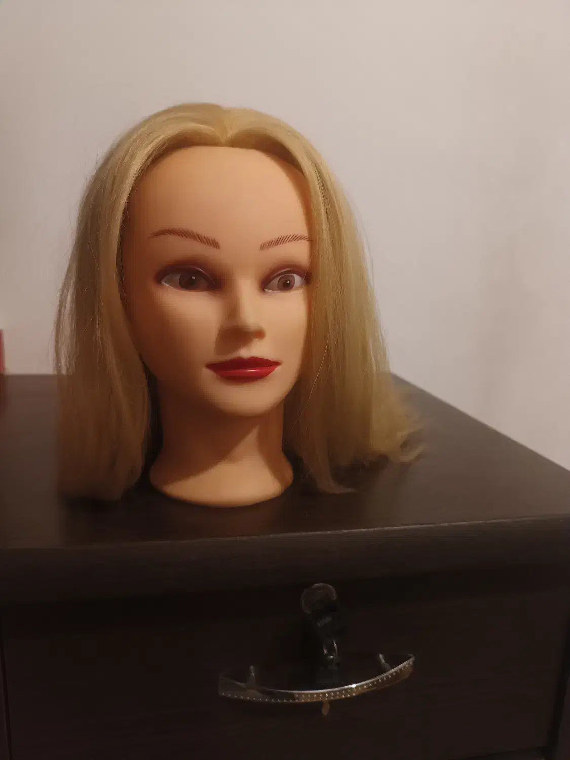 فروش کله مانکن و تعدادی موی طبیعی|آرایشگاه و سالنهای زیبایی|شیراز, غدیر شمالی|دیوار