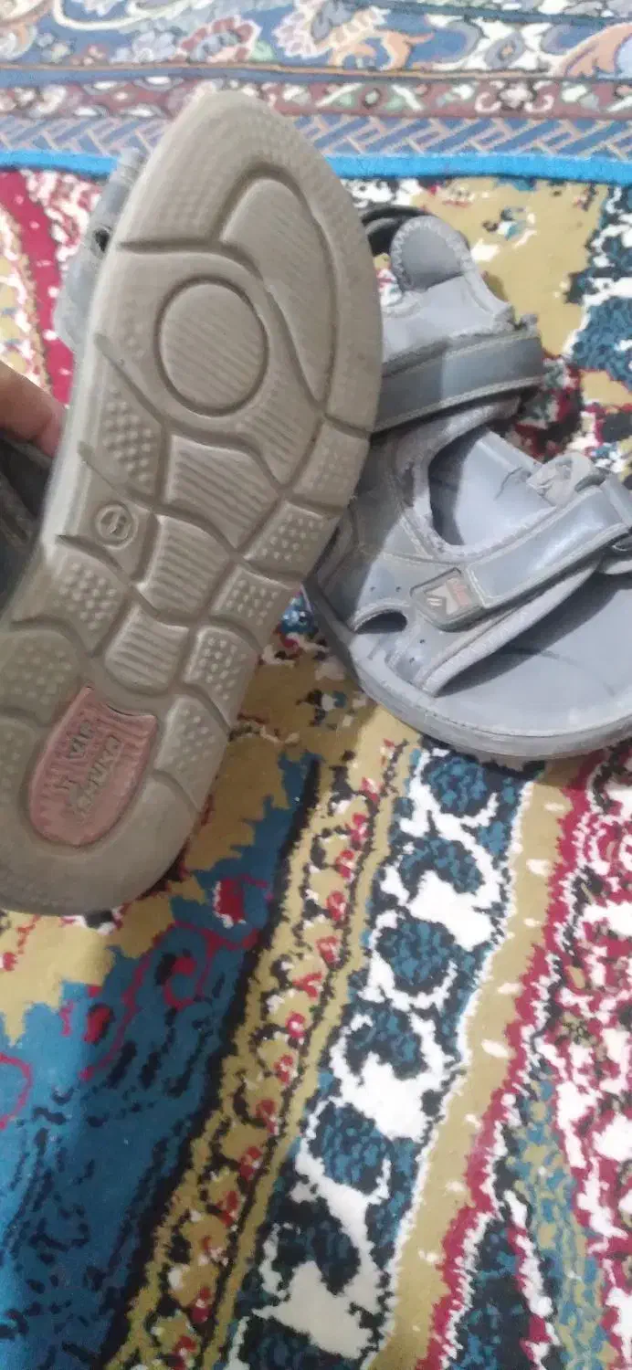 110000000|کیف، کفش، کمربند|هیرمند, |دیوار