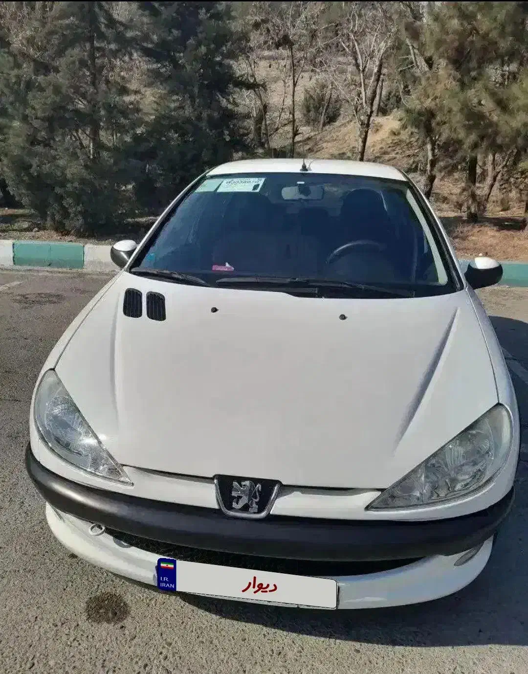 206 sd v8 مدل 96|خودرو سواری و وانت|زنجان, |دیوار