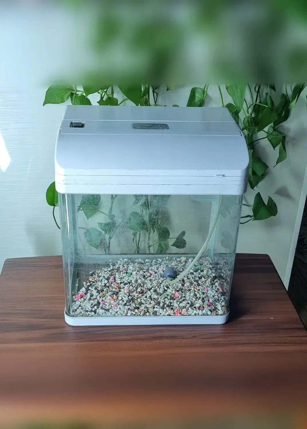 اکواریوم شیشه خم شرکتی ماهیران|ماهی|کرج, دولتآباد|دیوار