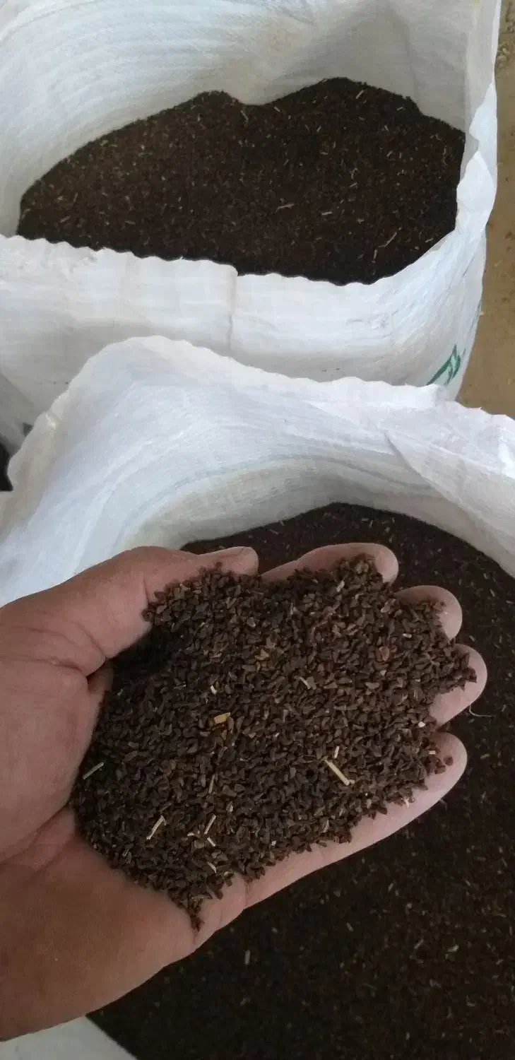 سبنج|خدمات باغبانی و درختکاری|تربتحیدریه, کوه سنگی|دیوار