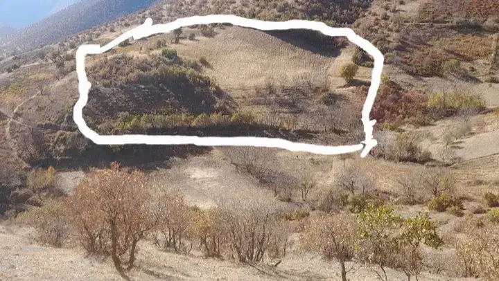 فروش زمین کشاورزی|فروش دفتر صنعتی، کشاورزی، تجاری|مریوان, |دیوار