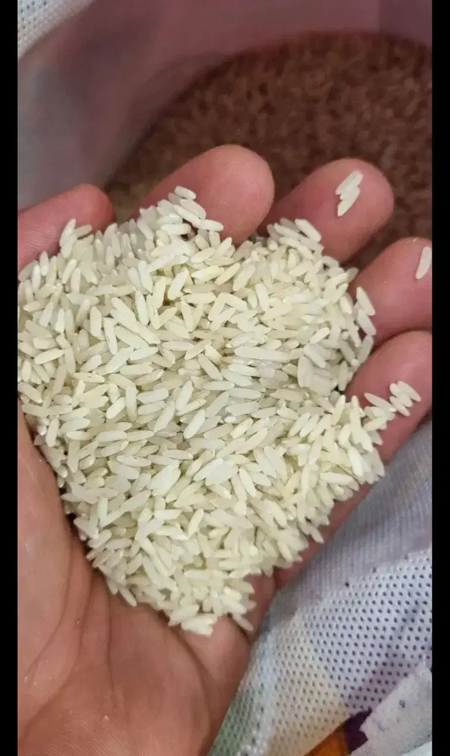 فروش برنج سوپر باسماتی پاکستانی بریس|عمدهفروشی|یزد, |دیوار