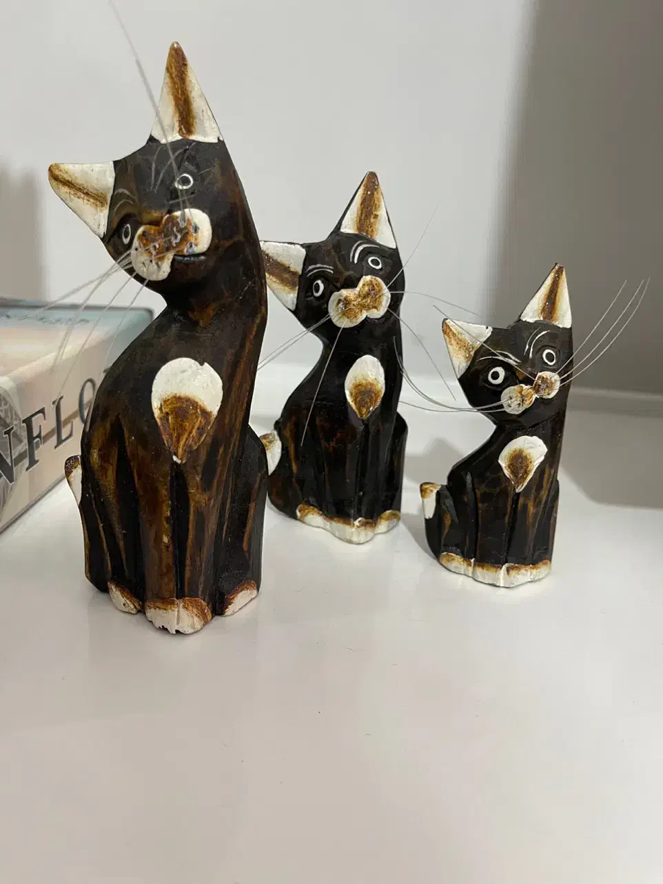 پادری و گربه|پادری|سهند, |دیوار