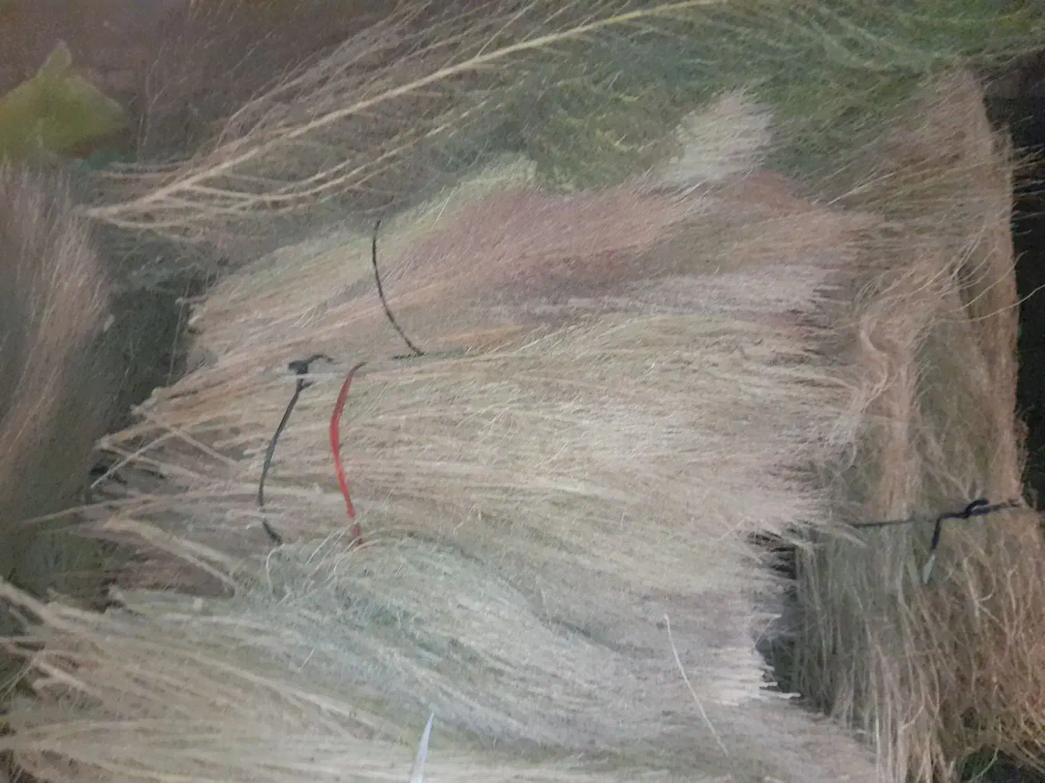 جارو|لوازم نظافت|خوی, |دیوار