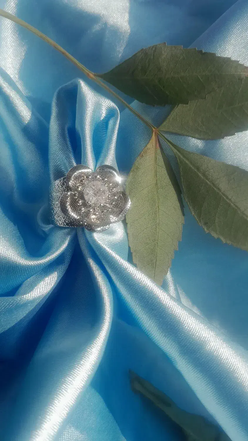 انگشتر و گوشواره|بدلیجات|کرج, فاز ۴ مهرشهر|دیوار