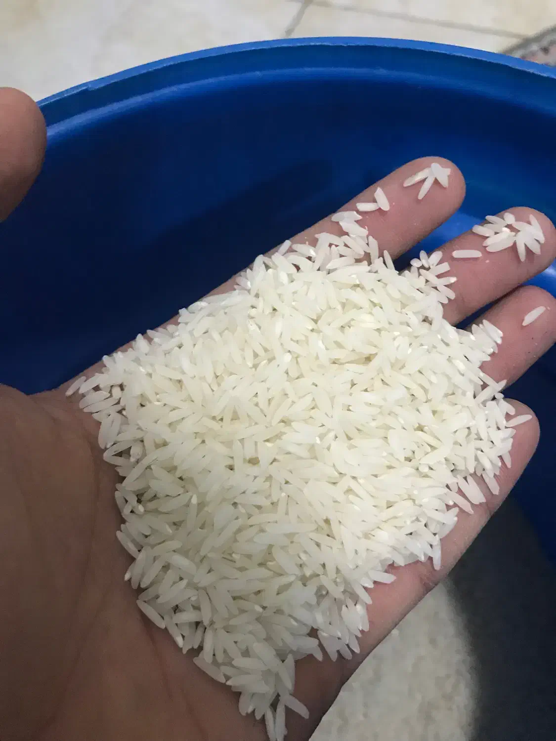 برنج|خوردنی و آشامیدنی|قدس, شهرقدس|دیوار