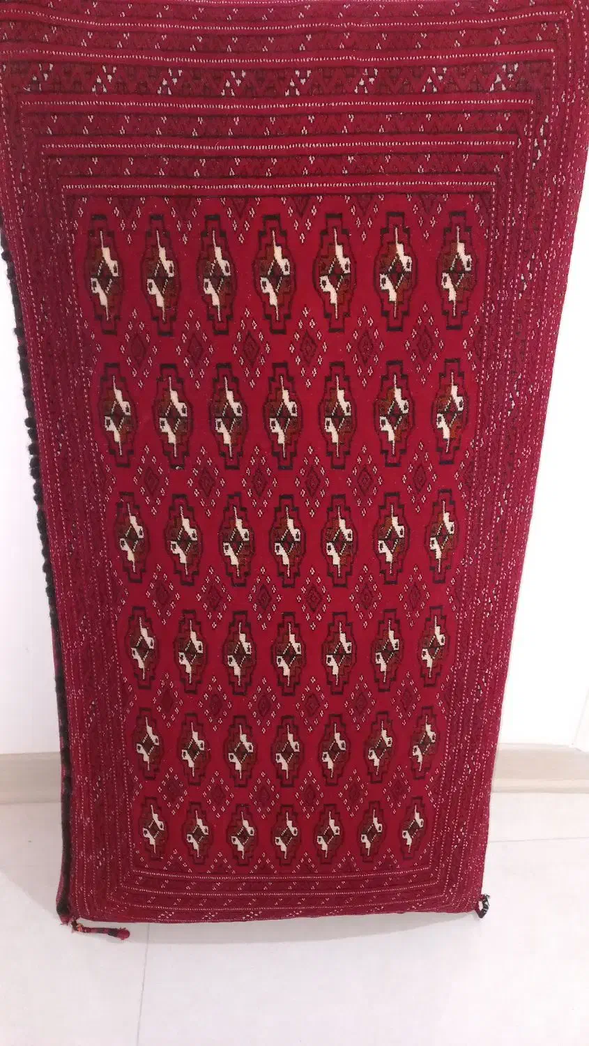 پشتی دست باف ترکمن|پشتی|مشهد, دانشجو|دیوار