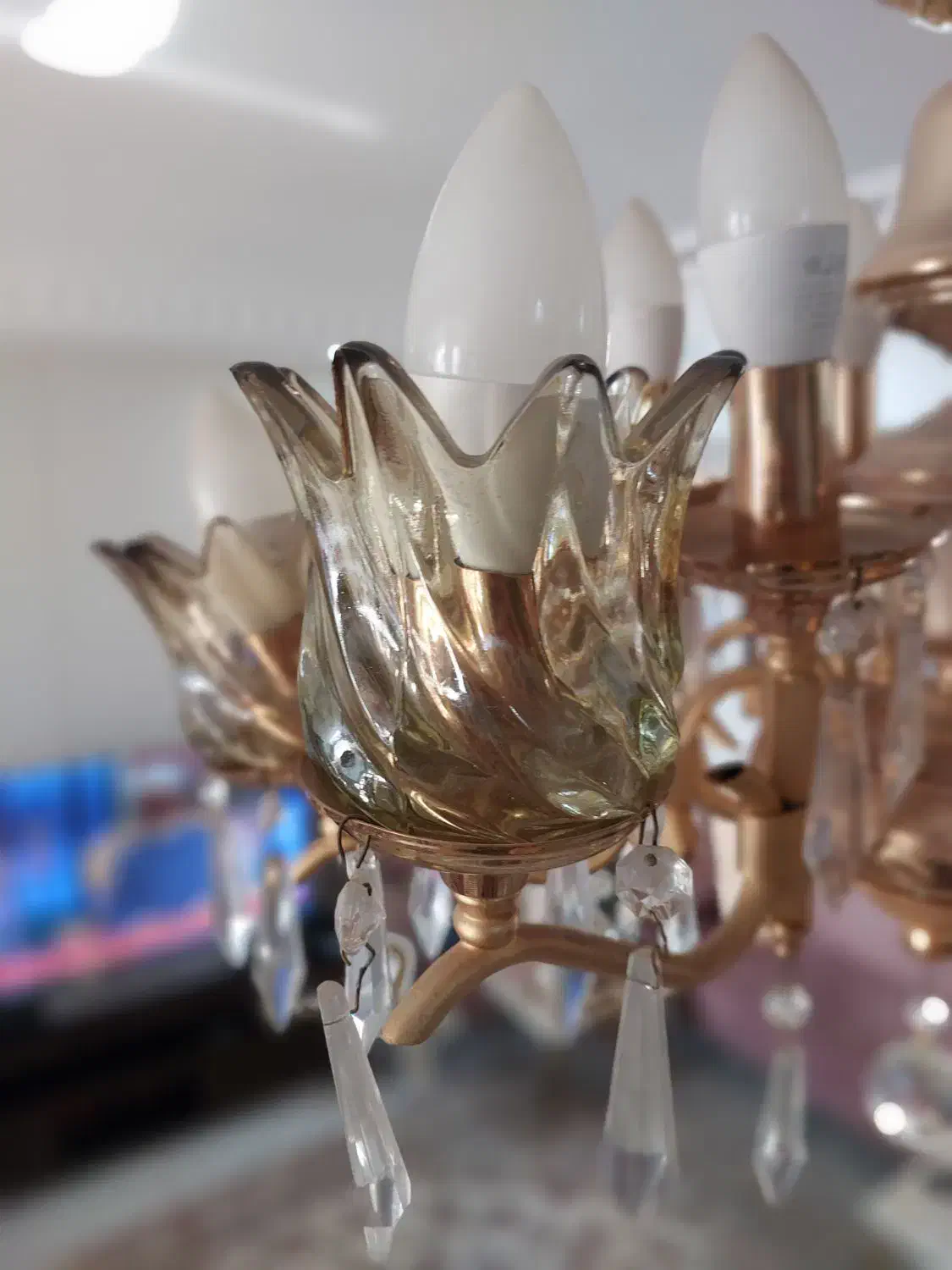 ۶ عدد حباب لوستر شامپانی|لوستر و چراغ آویز|تهران, سلسبیل شمالی|دیوار