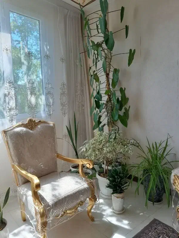 تولیدی کاور مبل هفت|مبلمان خانگی و میز عسلی|مشهد, جانباز|دیوار