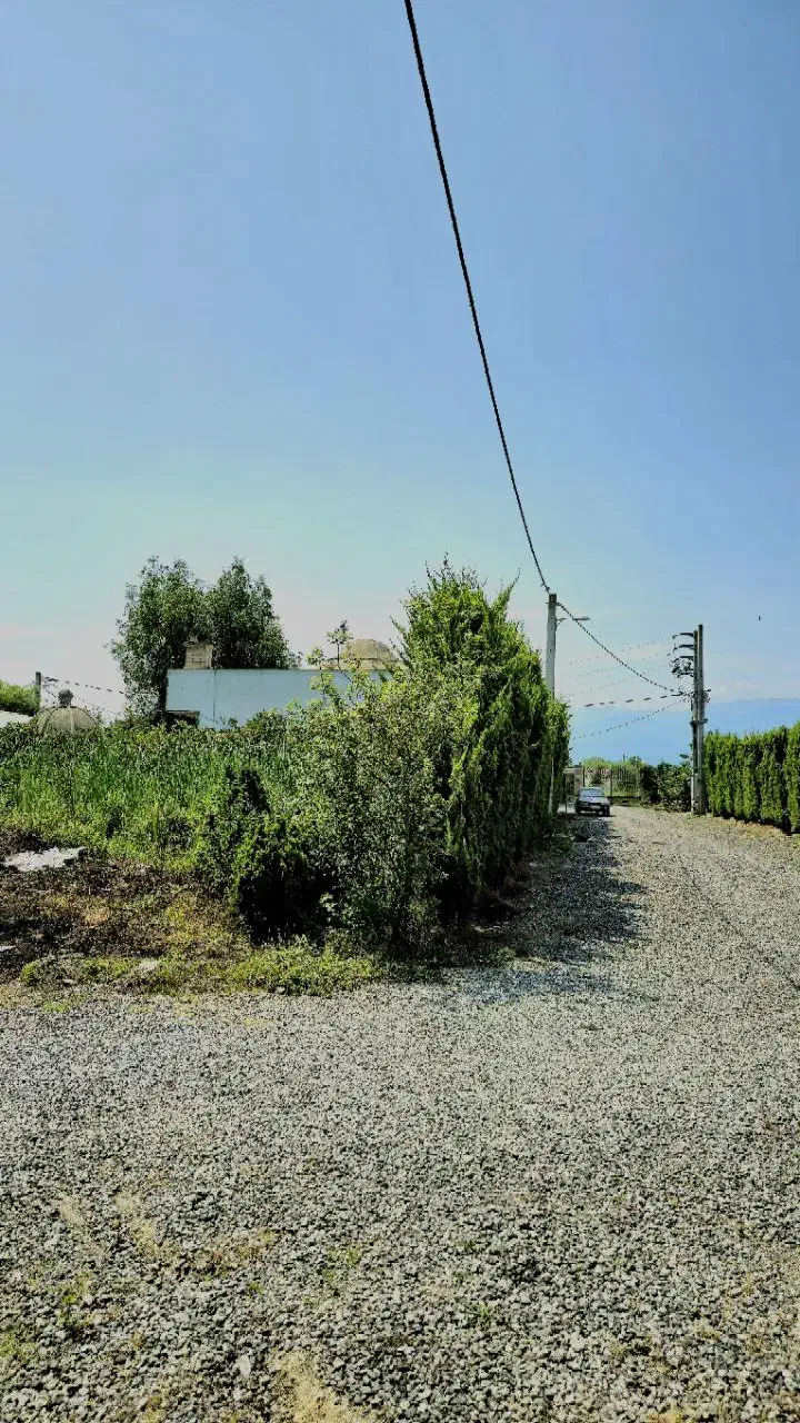 فروش فوری زمین نخری ضرر کردی *نقد و اقساط|فروش زمین و ملک کلنگی|چمستان, |دیوار