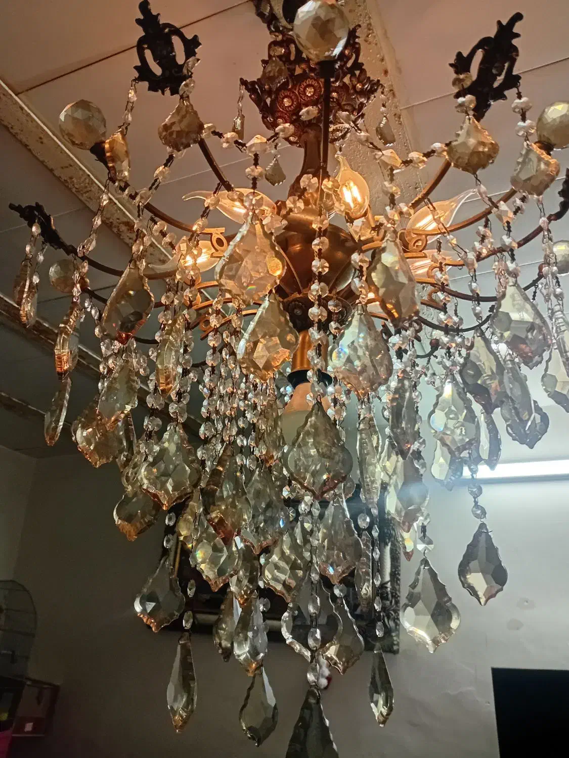 لوستر ۱۶شاخه ای|لوستر و چراغ آویز|اهواز, یوسفی|دیوار