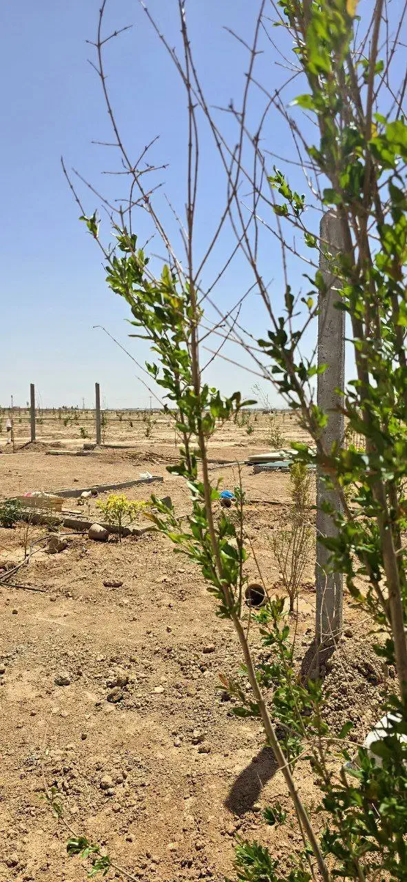 باغ ۷۵۰متری شماره۴۵ بااقساط ۱۲ماهه|فروش زمین و ملک کلنگی|شاهین‌شهر, گرگاب|دیوار