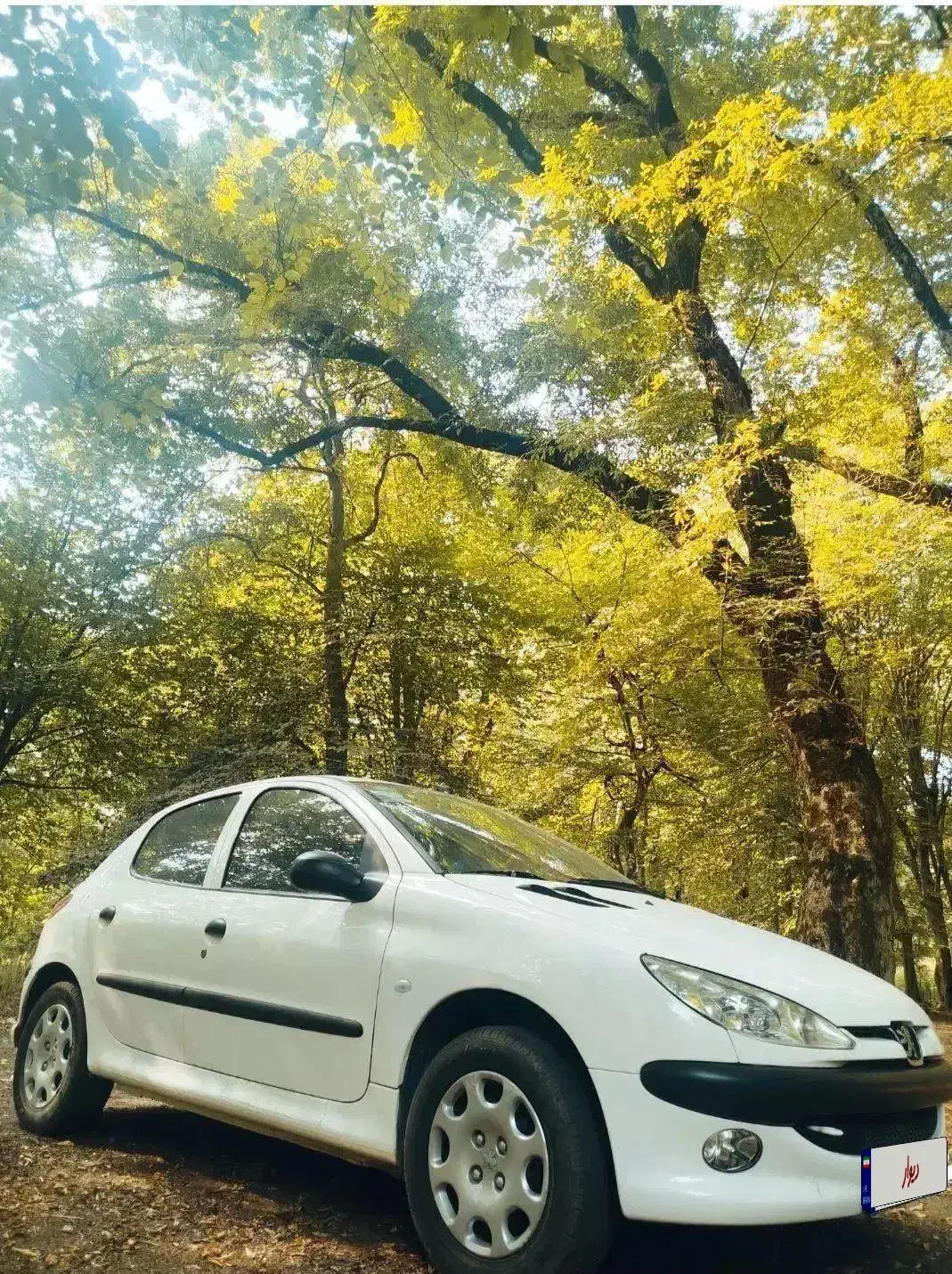 206 تیپ2مدل 401|خودرو سواری و وانت|گنبد کاووس, |دیوار