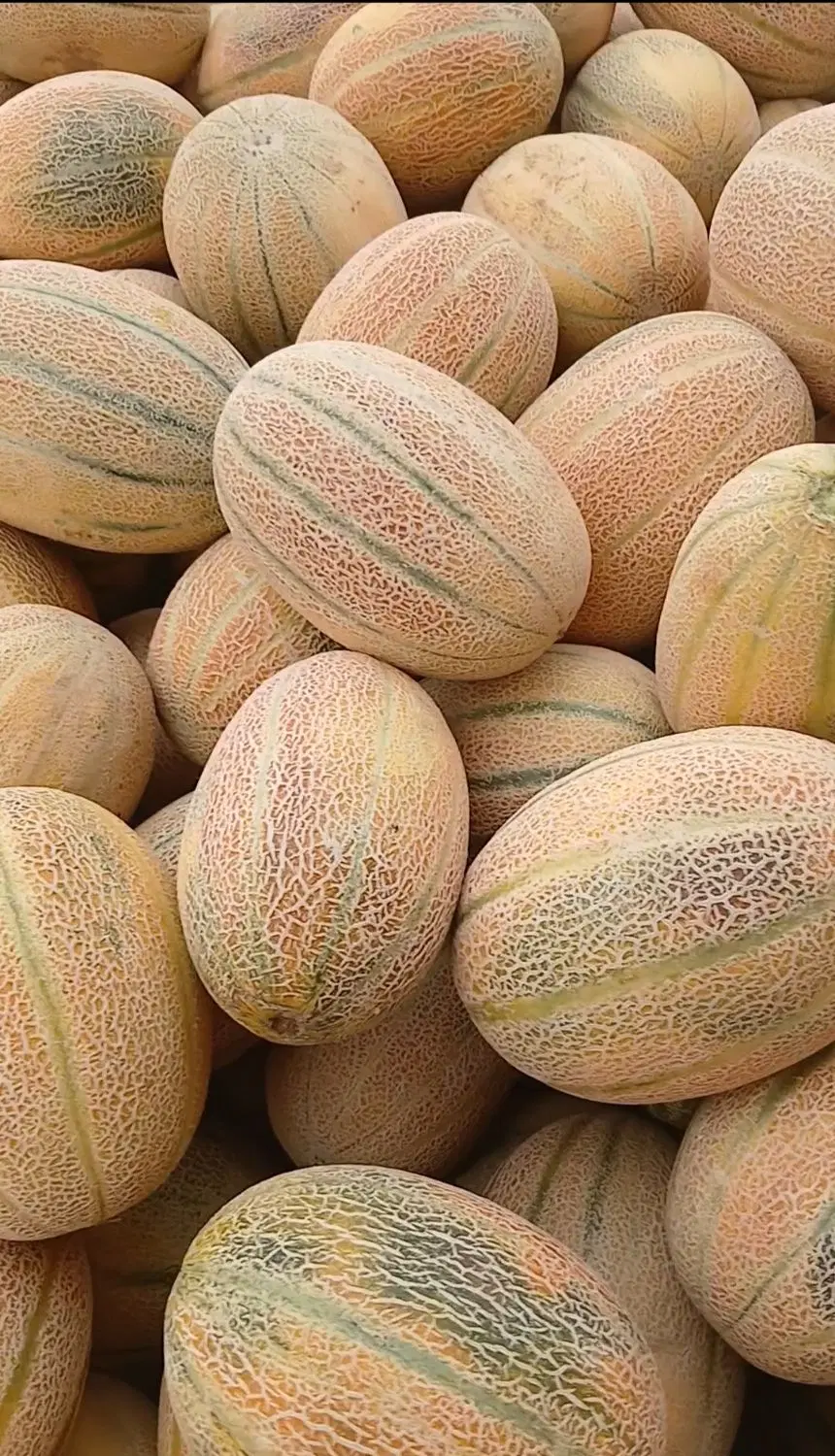 هنداونه|خوردنی و آشامیدنی|سارال, |دیوار
