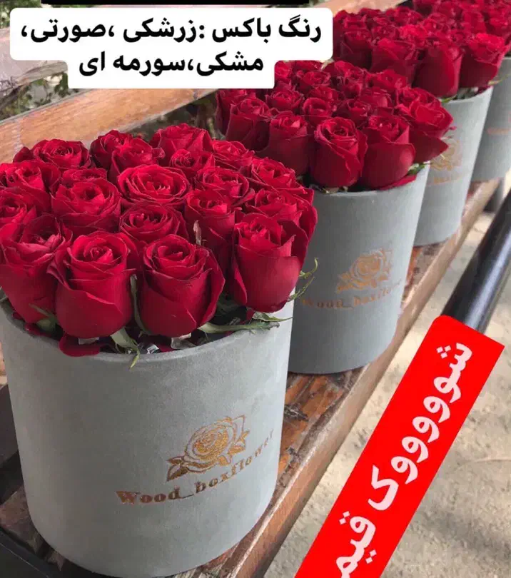 گل طبیعی رز هلندی باکسی فقط شاخه ای ۲۲ تومن|گل و گیاه طبیعی|مشهد, آزادشهر|دیوار
