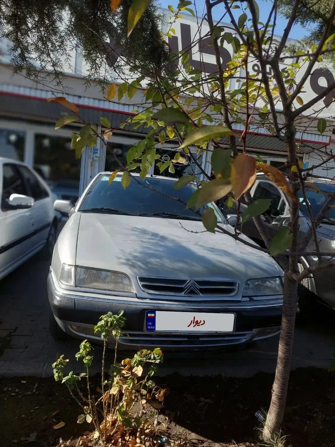 زانتیا 2000|خودرو سواری و وانت|ارومیه, |دیوار