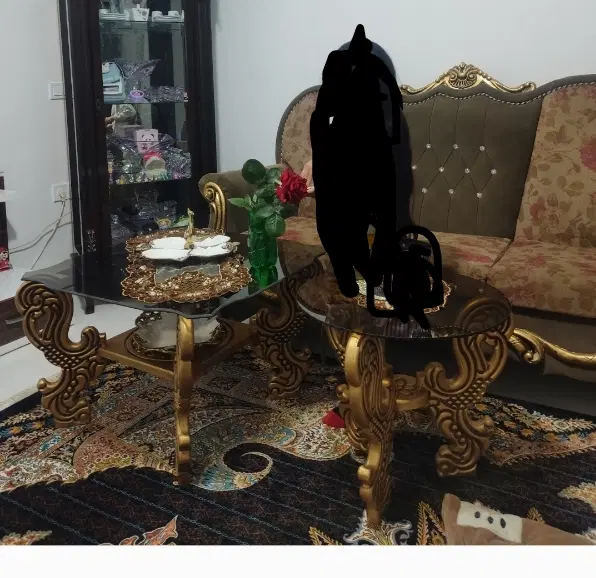 مبل|مبلمان خانگی و میز عسلی|اسفرورین, |دیوار