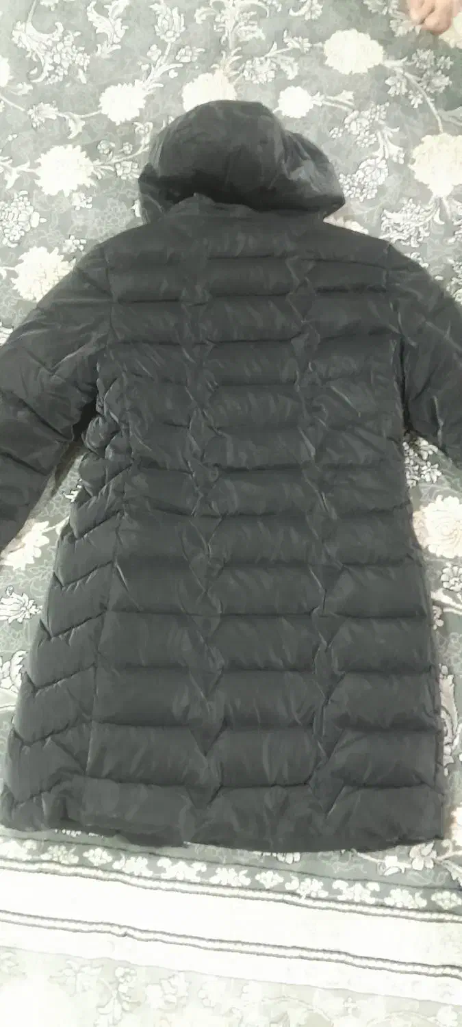 کاپشن سیاه|لباس|اردبیل, |دیوار