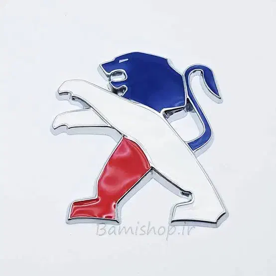 تحقیق|فعالیت داوطلبانه تحقیقاتی|زابل, |دیوار