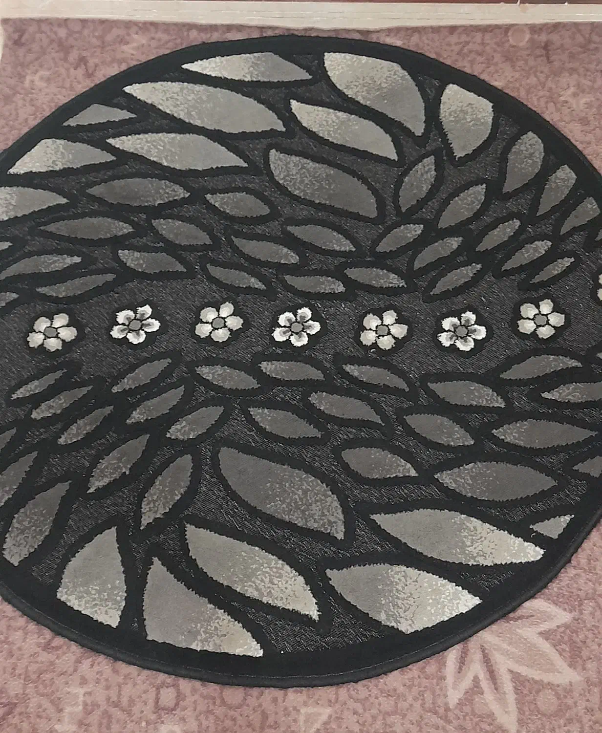 پادری|پادری|قم, شهرک فاطمیه|دیوار