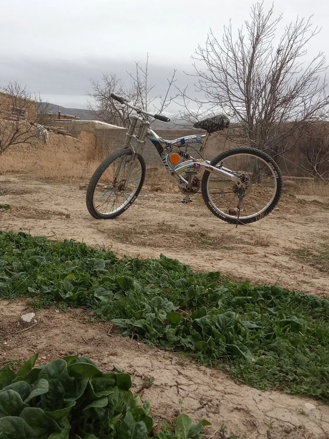 دوچرخه|دوچرخه، اسکیت، اسکوتر|آشخانه, |دیوار