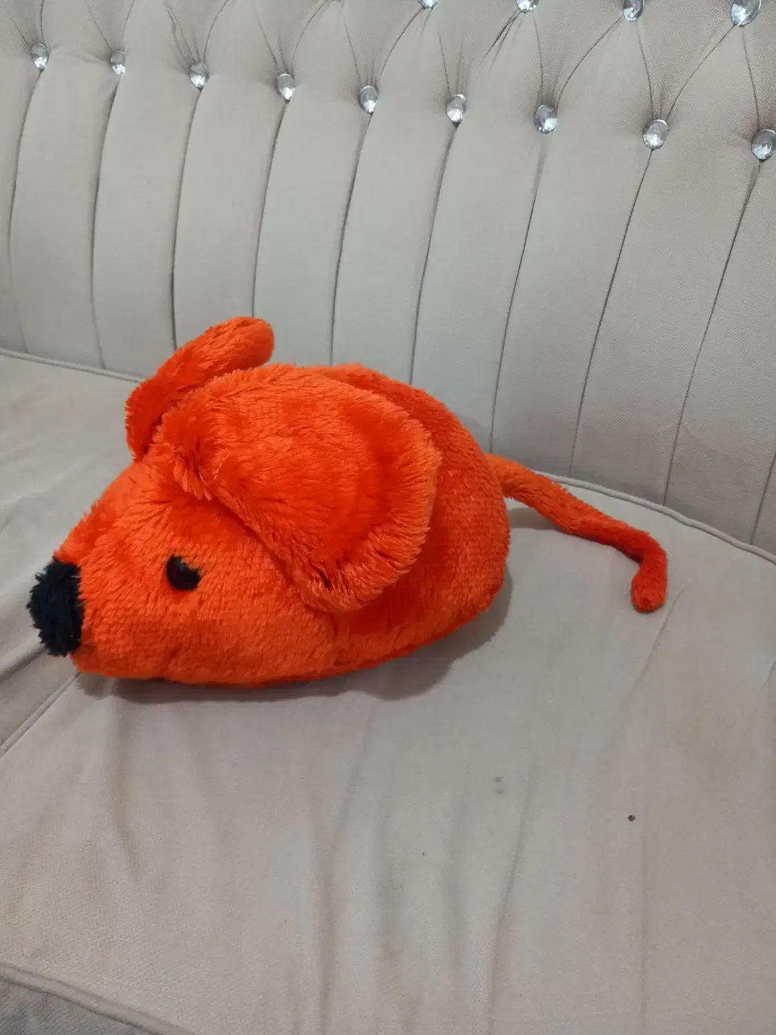 عروسک|اسباببازی بچه|زاهدان, |دیوار