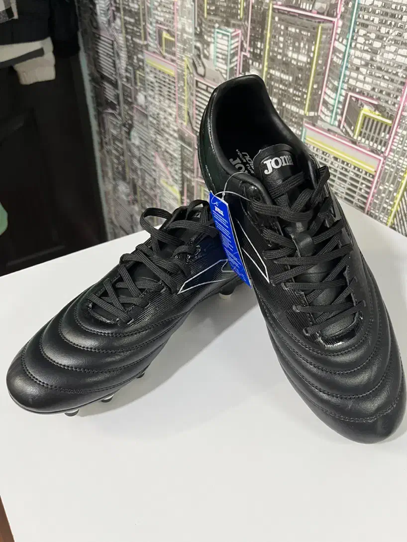 کفش فوتبال جوما joma n10 نو|کیف، کفش، کمربند|بجنورد, |دیوار