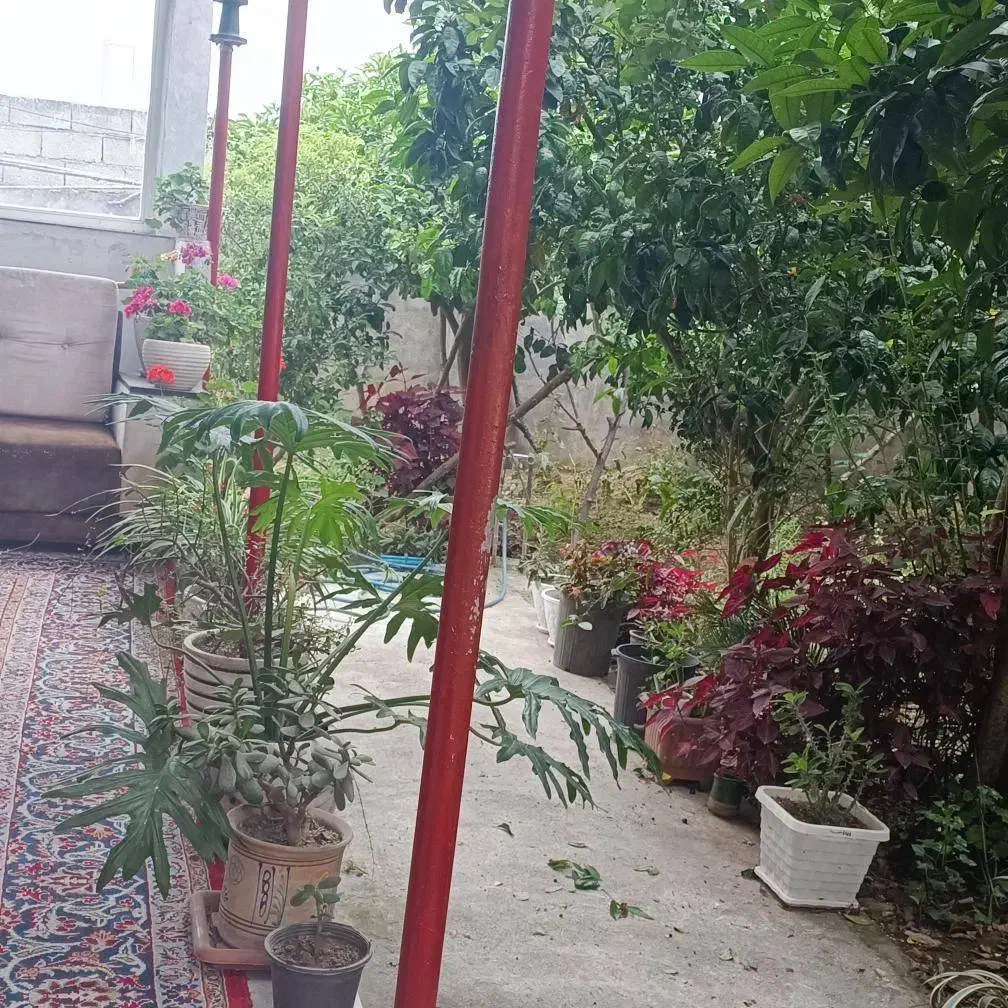 ویلا اجاره ای|اجارهٔ خانه و ویلا|دابودشت, |دیوار