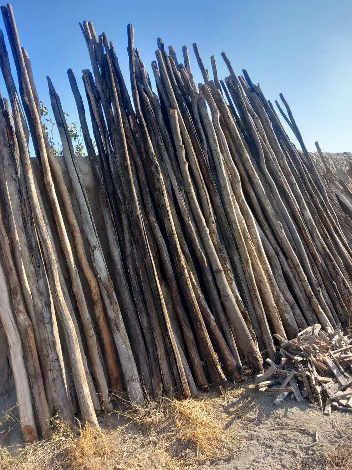 تیرچوبی گلخانه‌ای|مصالح و تجهیزات ساختمان|شهریار, رزکان|دیوار